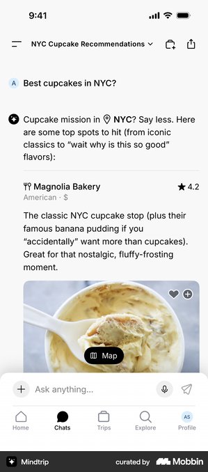 Mindtrip screen on Mobbin: a chat that knows the trip